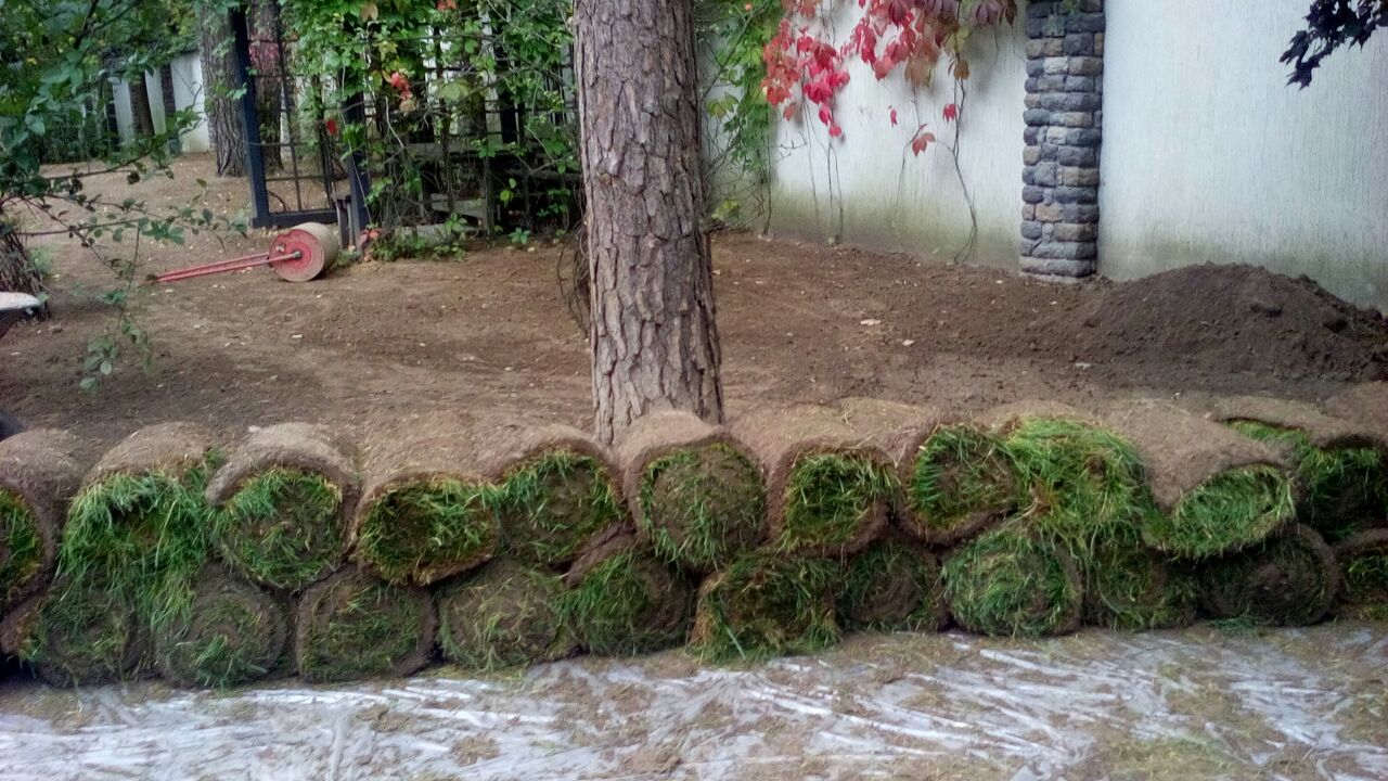 Планировка территории