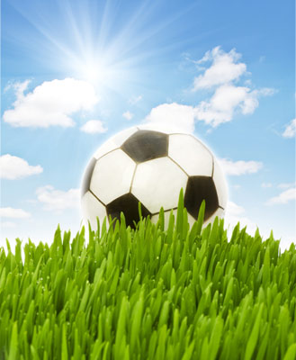 Как сажать спортивный газон