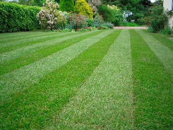 РУЛОННЫЙ ГАЗОН – КРАСИВО, ПРАКТИЧНО, СТИЛЬНО