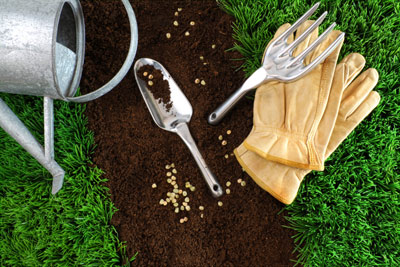 Как посадить газон