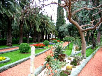 Персидские сады — родина тюльпанов, сирени, лилии, нарциссов