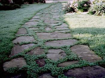 Натуральный камень в ландшафте