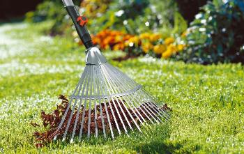 Полезные инструменты для газона