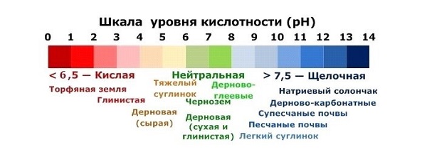 Кислотность почвы