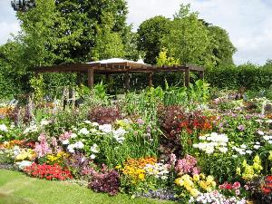 Проектирование и оформление садового участка