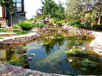 Декоративный водоем на даче или в саду — украшение всей территории и великолепное место отдыха