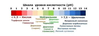 Кислотность почвы