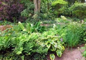 Создаем сад в стиле «эко»