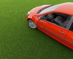 Виды газонов