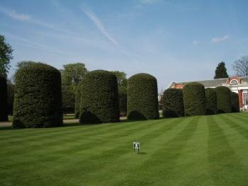 Весенний уход за газоном