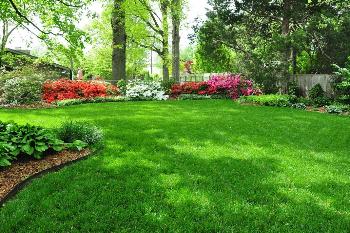 Весенне-летний уход за газон