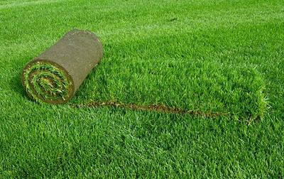 Что такое рулонный газон