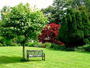 Газон в ландшафтном дизайне