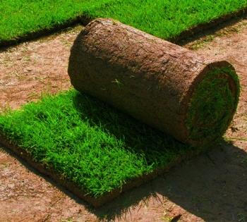 Мероприятия по укладке рулонного газона
