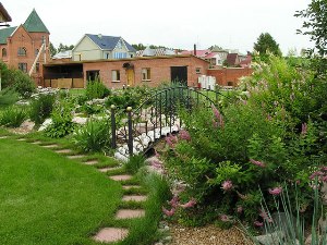 Профессиональное озеленение