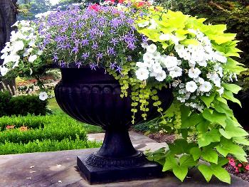 Вазоны в ландшафте — позволяют разнообразить дизайнерское решение