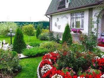 Необычные туи — виды, сорта и советы от специалистов