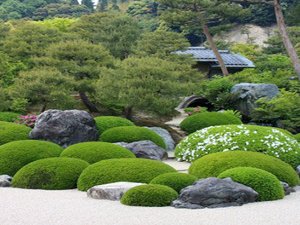 Мох в ландшафтном дизайне