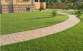 Устройство газона